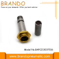 Auto Drain Valve solenoïde ventiel onderdelen solenoïde plunjer